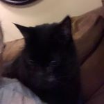 Geneva Schultz - @geneva12564 - Instagram