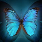 Geneva Shaw - @genevashaw3685 - Instagram