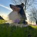 Geneva Yates - Facebook