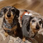 Genevieve Ackerman Marbutt - @mamabug79 - Instagram