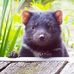 Genevieve Bennett - Facebook
