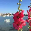 Berge Genevieve - @berge.genevieve - TikTok