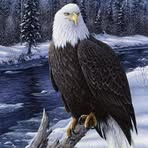 Genevieve Buckner - Facebook