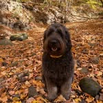 Genevieve Cullen - @bywatergirl - Instagram