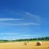 genevievedaniel13 - @genevievedaniel13 - TikTok