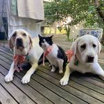 genevieve :) - @genevieve.doherty - Instagram