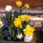 Genevieve Frey - @genevievefrey - Instagram