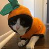 Genevieve - @genevievemakesthings - TikTok