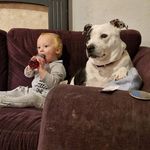 Genevieve Mitchell - @purplemummy21 - Instagram