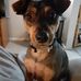 Genevieve Murphy - Facebook