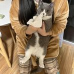 Genevieve Tran - Facebook