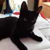 genevievetranchard - @genevievetranchard - TikTok