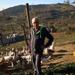Gennaro Cavallo - @cavallogennaro50 - Instagram