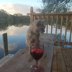 Genny Johnson - @genny.johnson.94 - Instagram