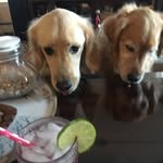 Genny Roberts - @gennyroberts5 - Instagram