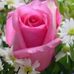 Genny Williams - Facebook