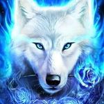 Geno Cox - @coxgeno - Instagram
