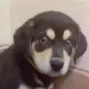 genomiller9410 - @genomiller9410 - TikTok