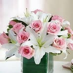 Genoveva Bernal - Facebook