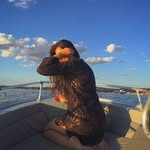 Genoveva Canova - @genovevacanova - Instagram