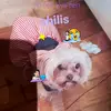 Genoveva Ramirez433 - @genovevaramirez26 - TikTok