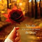 Genoveva Ramirez - Facebook