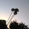 genovevavasquez821 - @geno_82602 - TikTok