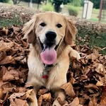 Jackson - @gentlejackson_ - Instagram