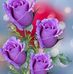 Gerry Armstrong - Facebook
