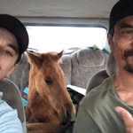Gentry King - @king.gentry - Instagram