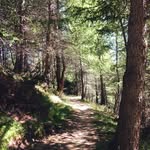 GENTRY - @gentry_lower43 - Instagram