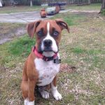 Gentry Moore - @gentry.moore - Instagram