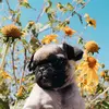 ✨hi guys ✨ - @gentry_olson - TikTok
