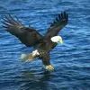 Geo Smith - @geo.smith4 - TikTok