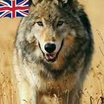 Geoff Baldwin - @baldwin_geoff - Instagram