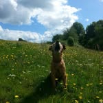 Geoff Barrett - @jackbazzer36 - Instagram