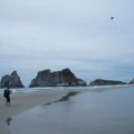 Geoff Button - @tuisong1 - Instagram