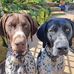 Geoff Duke - Facebook