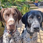 Geoff Duke - @geoffduke1955 - Instagram