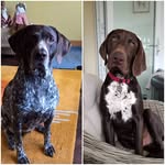 Geoff Duke - @r_geoff_duke - Instagram