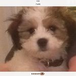 Geoff Dyer - @kissshotpoolclub - Instagram