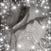 Geoff Evans - Facebook