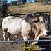 Geoff Evans - Facebook