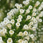 Geoff Evans - @geoff653 - Instagram