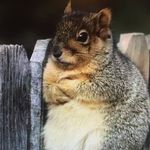Geoff Harper - @geoff.harper.353 - Instagram