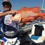 Geoff Harper - @geoff5849 - Instagram