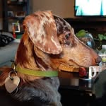 Geoff Hawk - @ghawk556 - Instagram