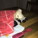 Geoff Heaton - @geoff_heaton - Instagram