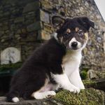Geoff Hunt - @geoff.hunt.7 - Instagram