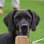 Geoff Jackson-Haines - @geoffjacksonhaines - Instagram